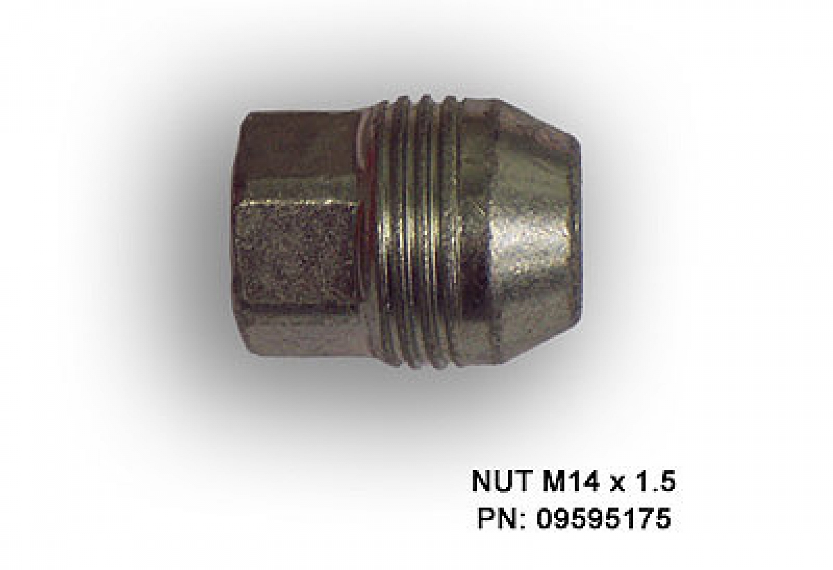 Main Image